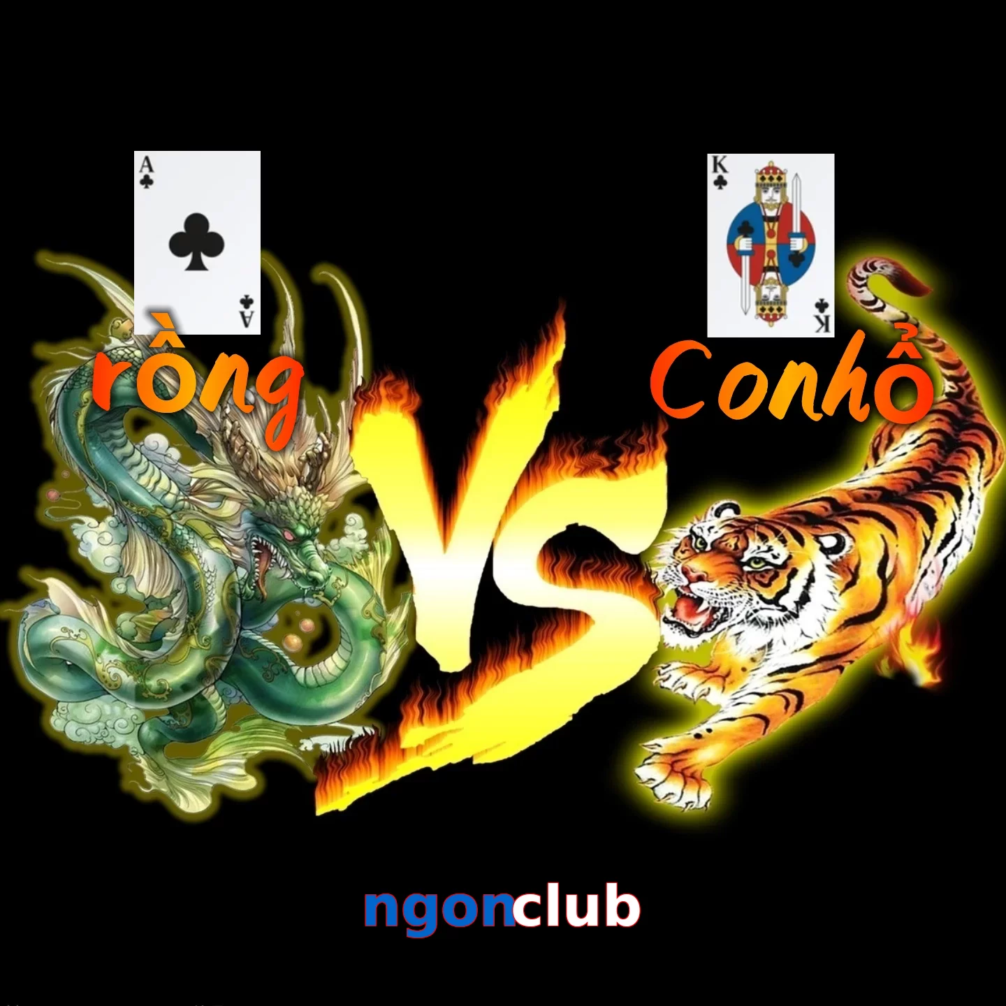 ngonclub