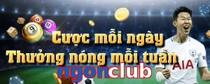 ngonclub